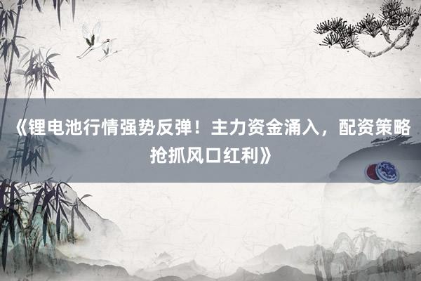 《锂电池行情强势反弹！主力资金涌入，配资策略抢抓风口红利》
