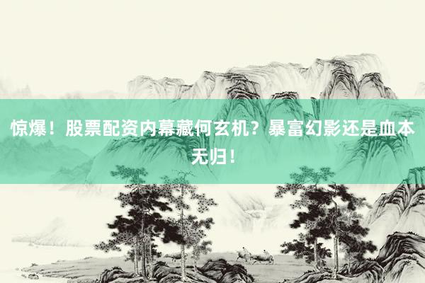 惊爆！股票配资内幕藏何玄机？暴富幻影还是血本无归！