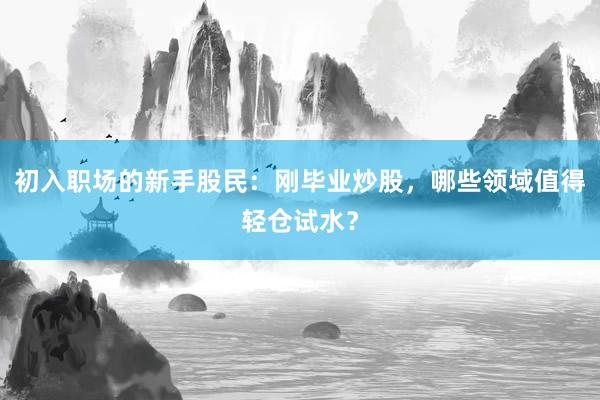 初入职场的新手股民：刚毕业炒股，哪些领域值得轻仓试水？