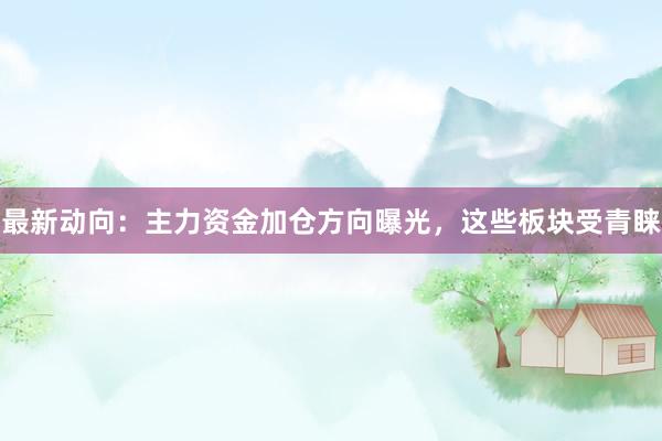 最新动向：主力资金加仓方向曝光，这些板块受青睐